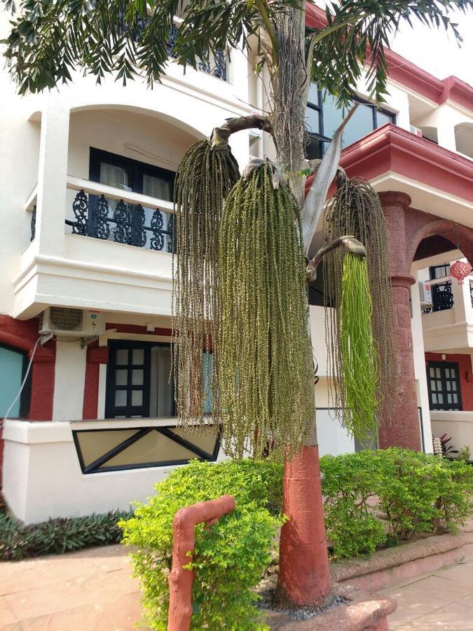 Hotel Ocean Waves Sun Baga Exterior foto